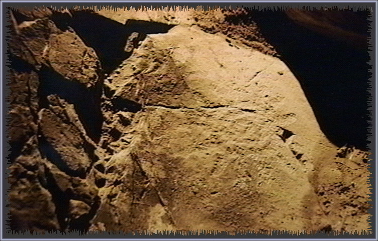 qm113.jpg