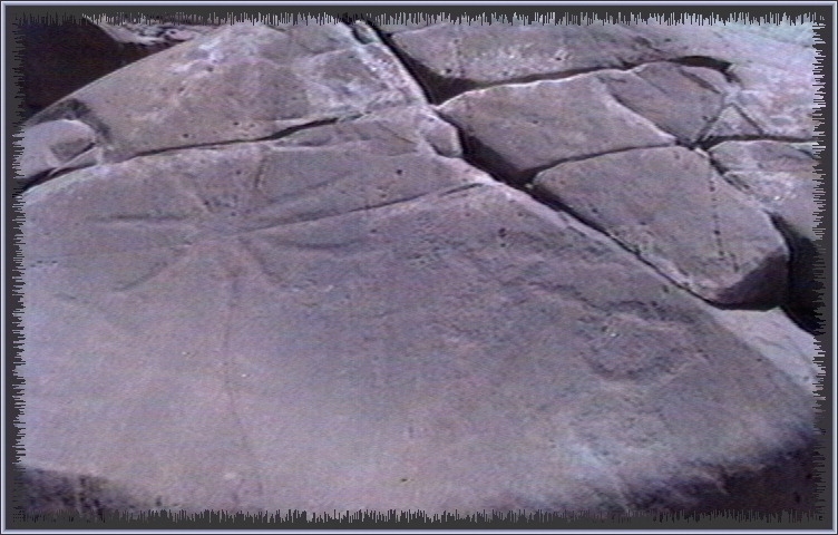 qm119.jpg