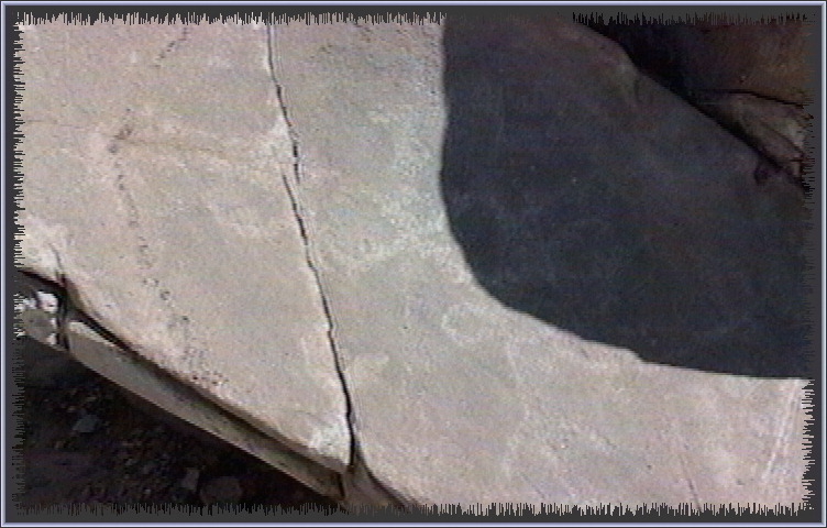 qm138.jpg