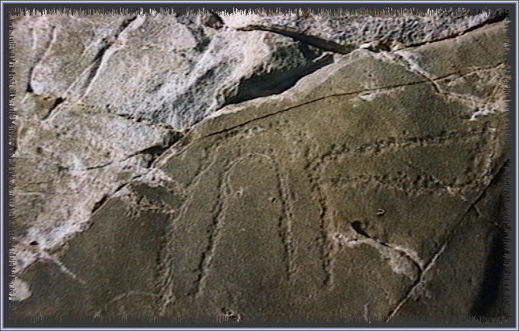 qm139.jpg