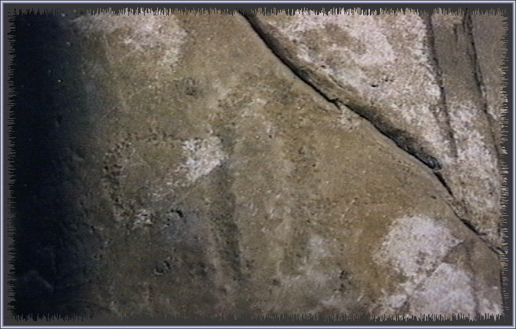 qm140.jpg