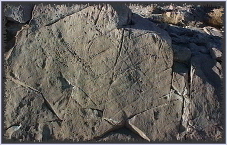 qm142.jpg