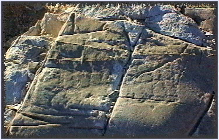 qm144.jpg