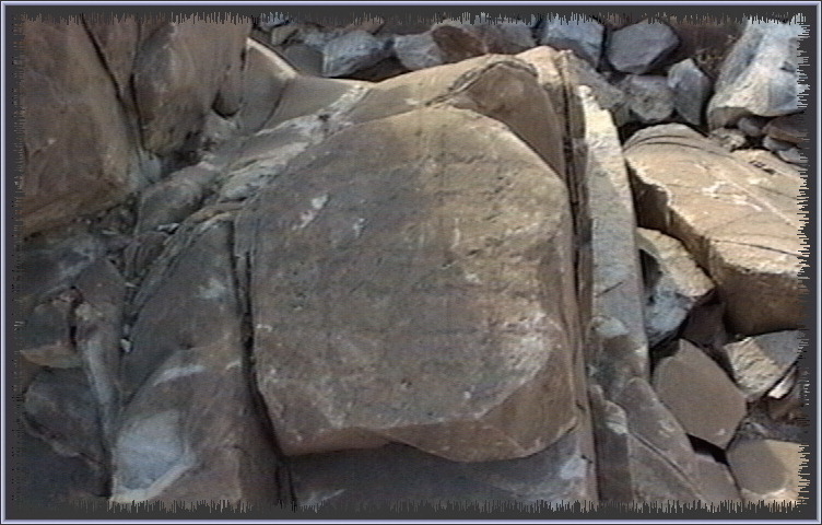 qm145.jpg