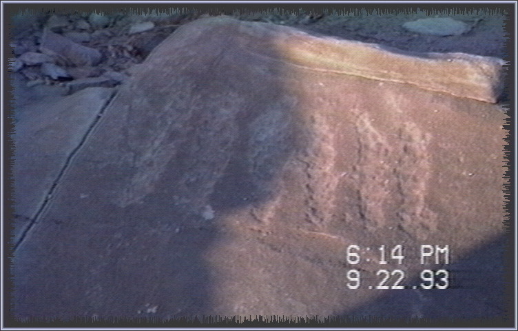 qm150.jpg