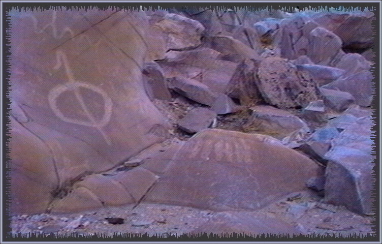 qm151.jpg