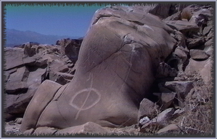 qm154.jpg