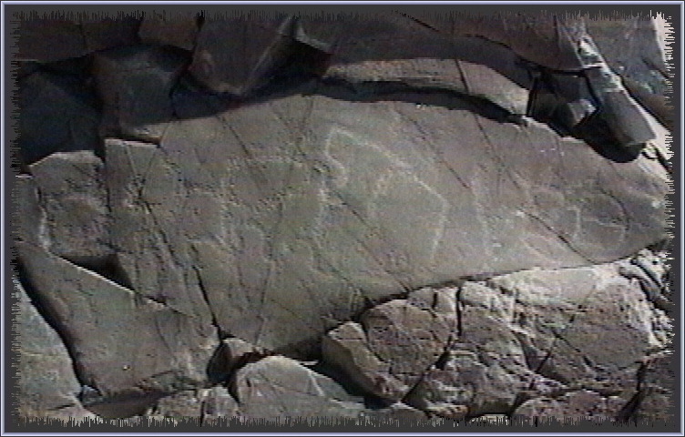 qm157.jpg