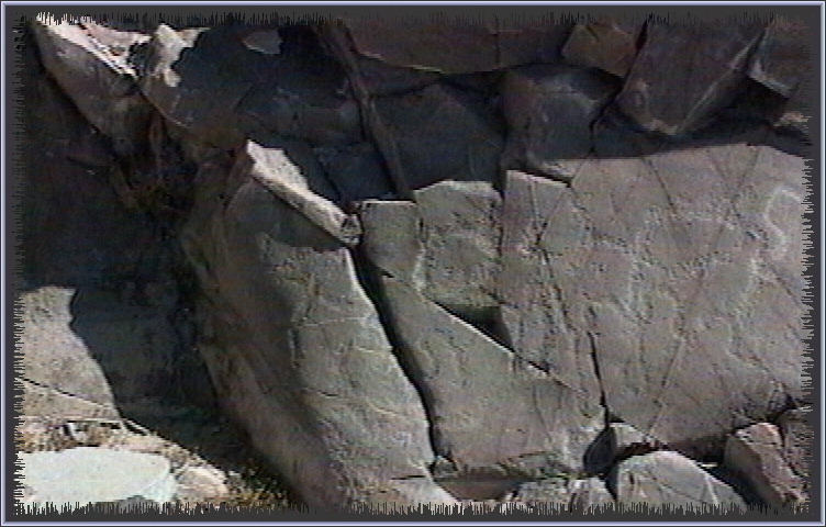 qm159.jpg