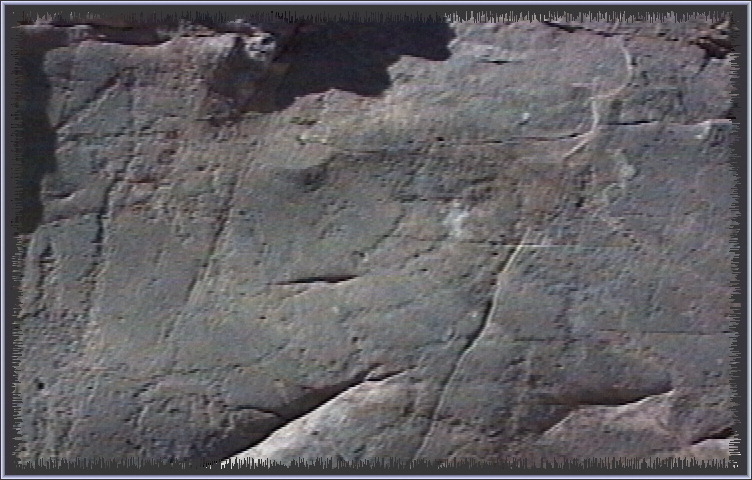 qm167.jpg