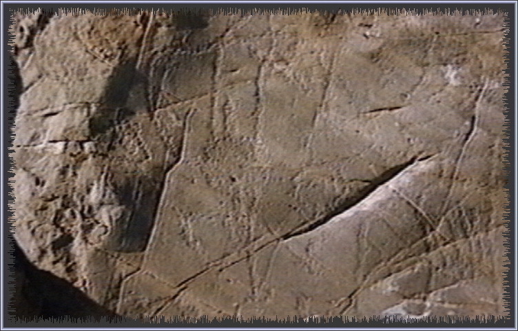 qm168.jpg