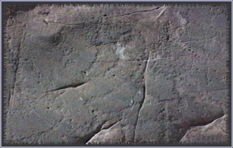 qm170.jpg