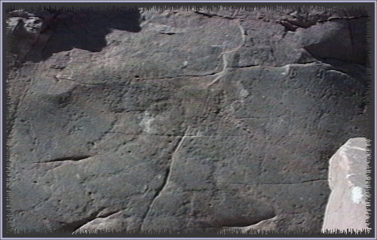 qm171.jpg