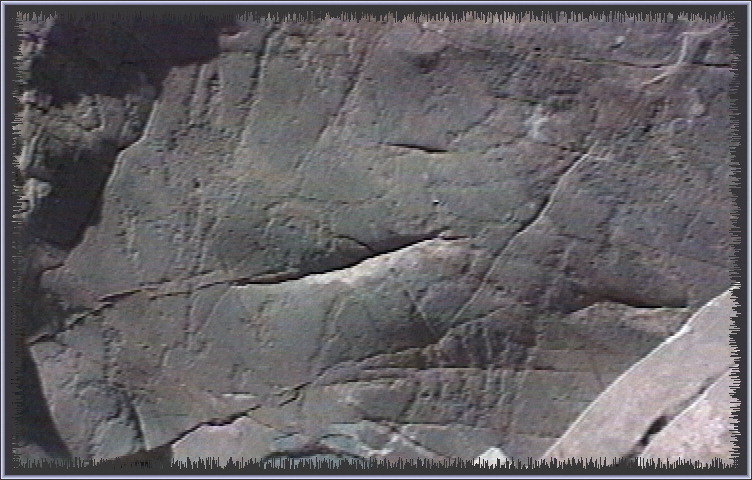 qm173.jpg