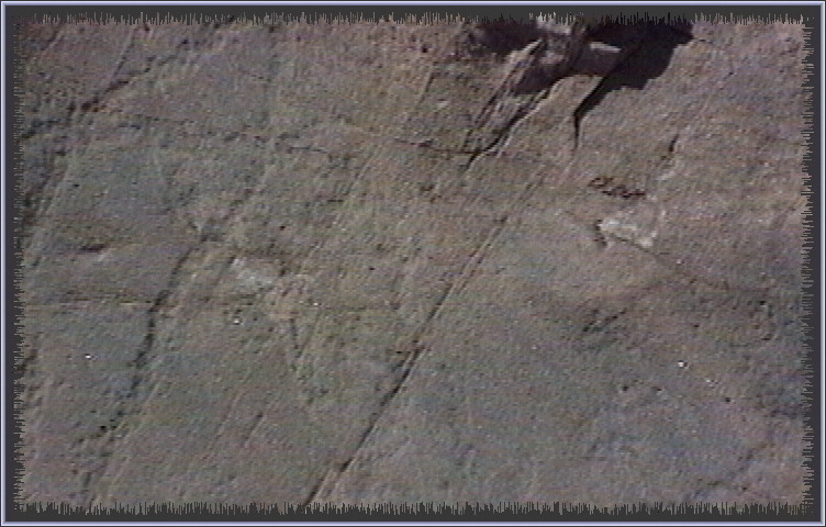 qm174.jpg