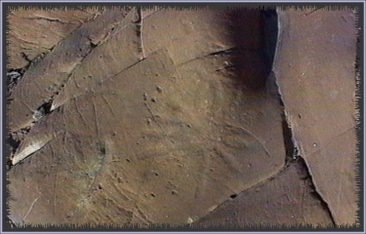 qm189.jpg