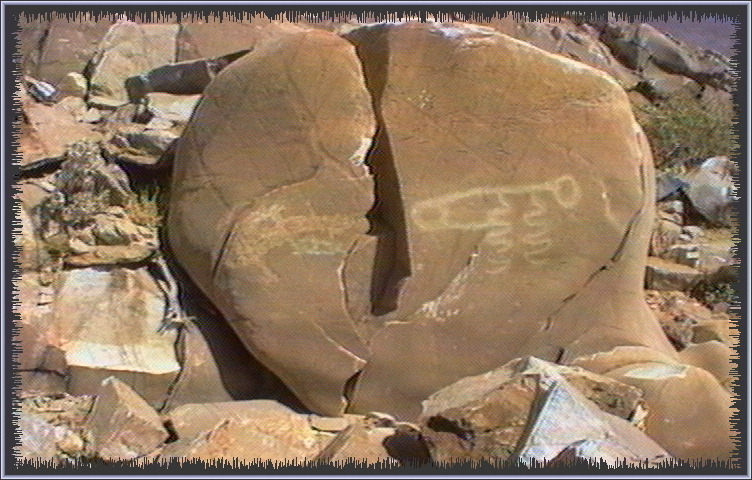 qm192.jpg