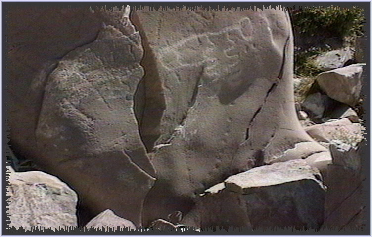 qm193.jpg