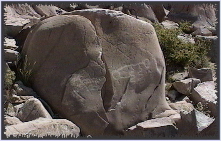 qm194.jpg