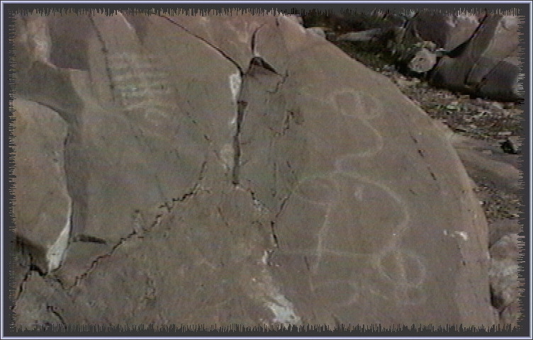 qm195.jpg
