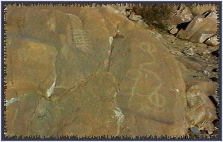 qm196.jpg