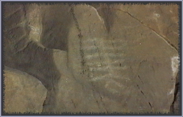qm197.jpg