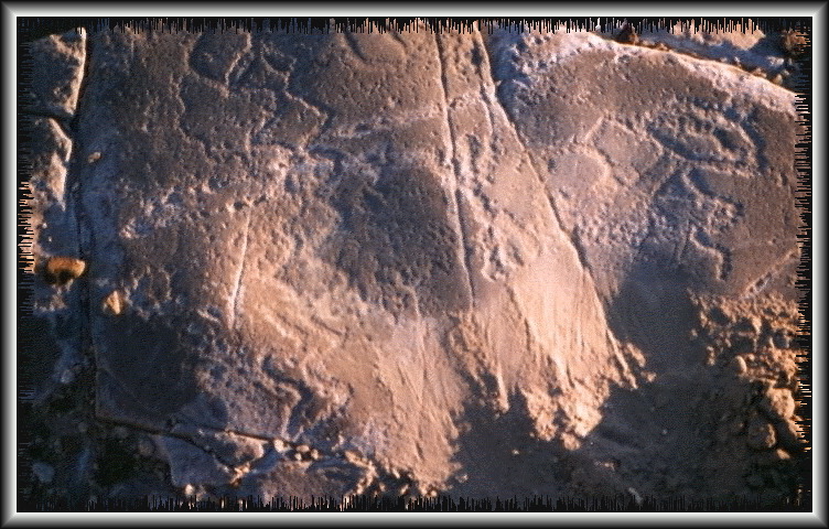 qm258.jpg