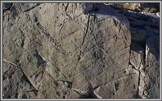 INYO grid 1