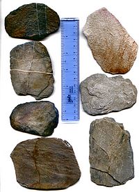 ARTIFACTS 01